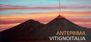 anteprima_vitignoitalia